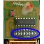 Pujol TT 1Ch 290.500 Mhz